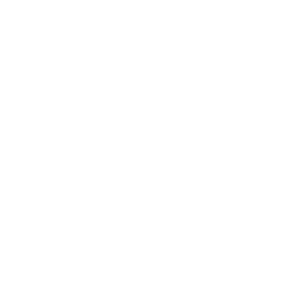 night's shield logo